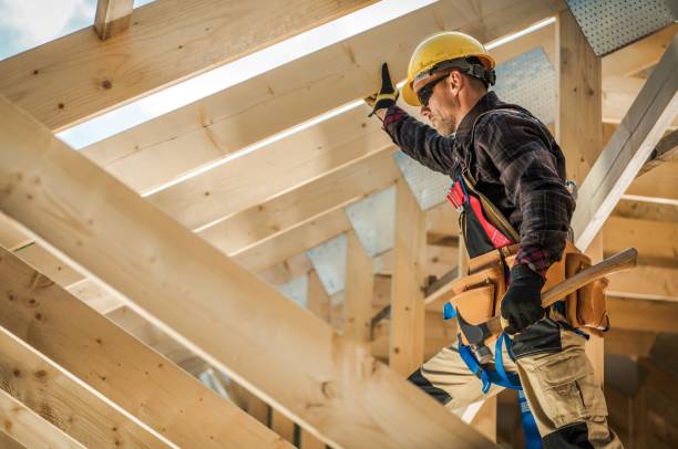 Best Roof Gutter Cleaning  in Milford, DE